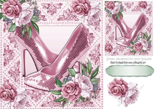 Pretty  painted roses in sparkle frame with rose shoes 8x8
