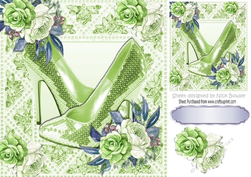 Pretty  painted roses in sparkle frame with green shoes shoes 8x8
