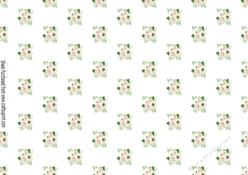 Pretty painted cream roses background paper (landscape)