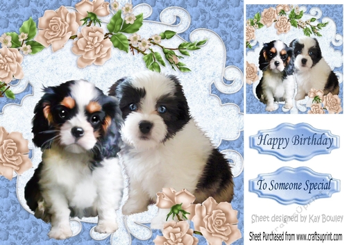 Cute little puppies with roses in ornate frame 8x8