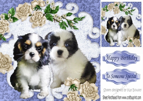 Cute little puppies with roses in  blue ornate frame 8x8
