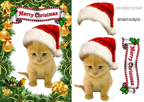 Cute Kitty in santa hat with little robin 