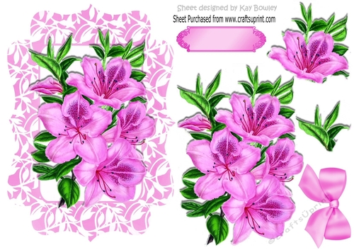 Pretty pink Azaleas, with pink bow in ornate frame