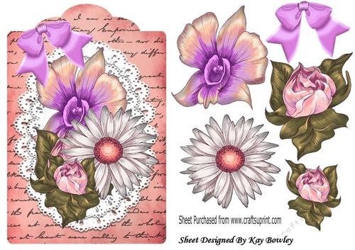 pretty painted rose flowers on lace on a script tag