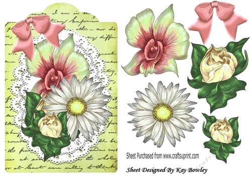 pretty painted lime/peach flowers on lace on a script tag