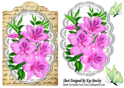 pretty pink Azaleas on lace , script with butterflies