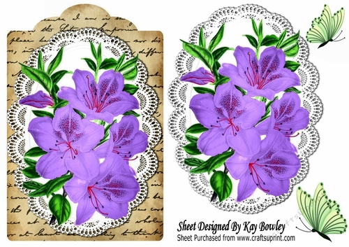 pretty purple Azaleas on lace , script with butterflies