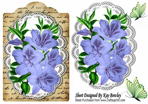 pretty blue Azaleas on lace , script with butterflies
