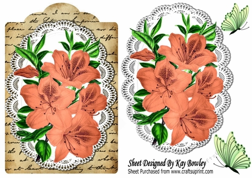 pretty orange Azaleas on lace , script with butterflies