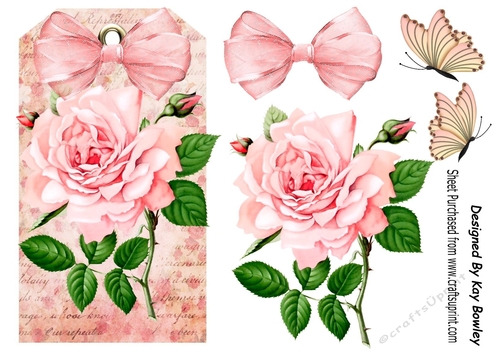 pink roses with organza bow on a tag