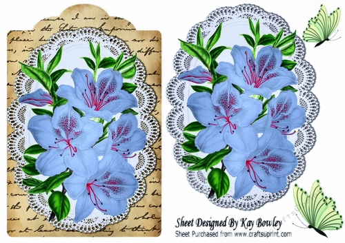 pretty sky blue Azaleas on  pale blue lace, script with butterflies