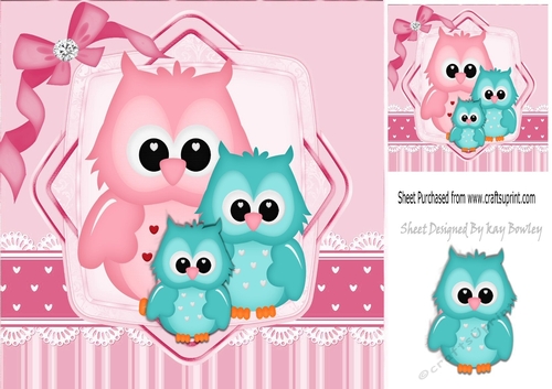 Cute owls in ornate frame with sparkle bow 8x8