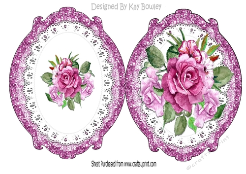 pretty pink painted roses on lace ornate frame 