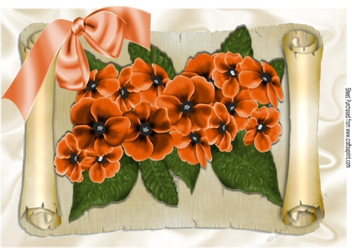 Pretty orange flowers on a scroll with butterflies & bow, A4