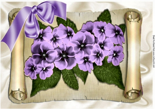 Pretty purple flowers on a scroll with butterflies & bow, A4