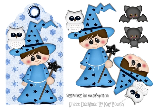 Little wizard on star tag with white owl & bat