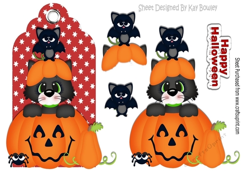 pumpkin with cheeky cat and bat on red star tag