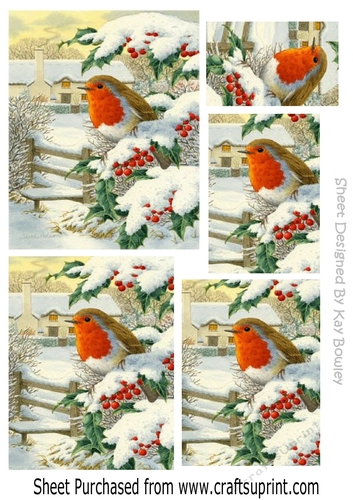 pretty robin sitting on a fence in the snow pyramids