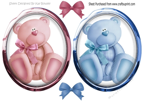 cute cuddly bears in pink and blue gingham, toppers with glass and bows