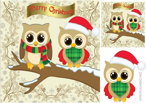cute pair of owls on a branch with snow 8x8