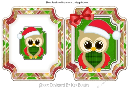 christmas owl in santa hat on folded card with bow