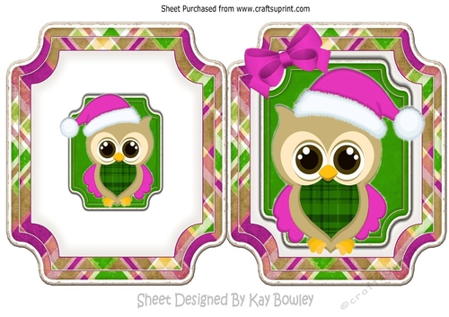 christmas owl in cerise santa hat on folded card with bow