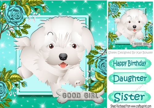 Cute little white puppy with turq roses 8x8