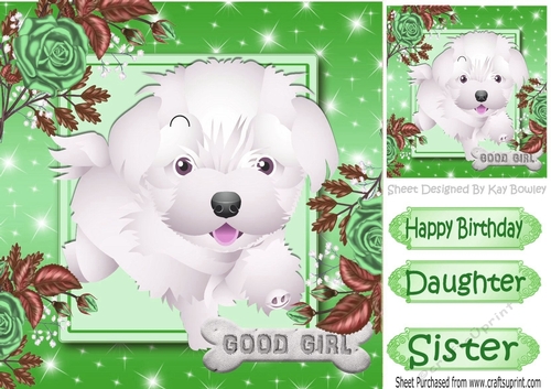 Cute little white puppy with green roses 8x8