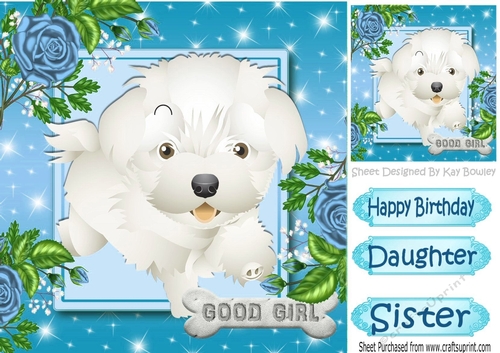 Cute little white puppy with blue roses 8x8