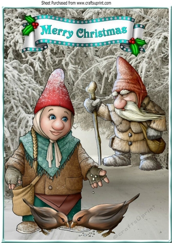 The bird feeder gnome in the snow A4!