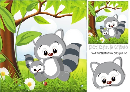 Baby Raccoon with mum in the meadow  8x8