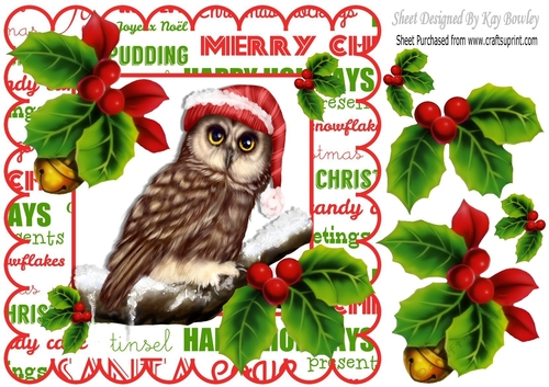 Lovely owl in christmas frame with santa hat on 8x8