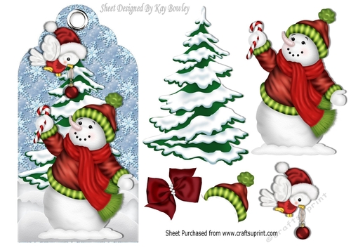 cute snowman with robin holding a bauble on a tag