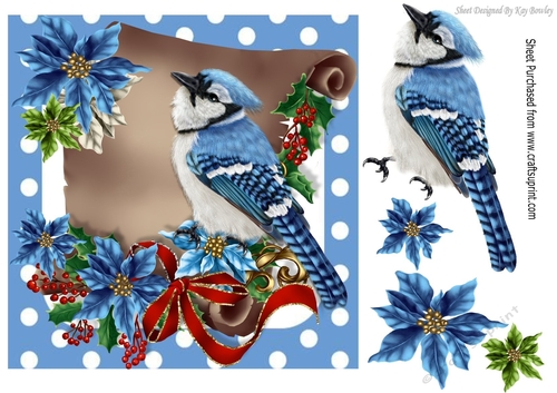 Winter bird song, on a pretty scroll with poinsettias
