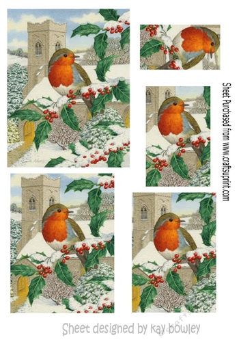 Robin with church in the snow pyramids