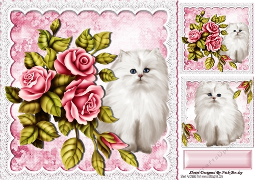 Pretty pink roses with white kitten on lace 8x8
