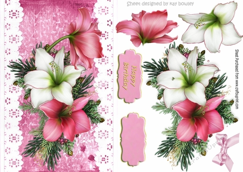 Pretty pink and white Amaryllis on lace with bow A5