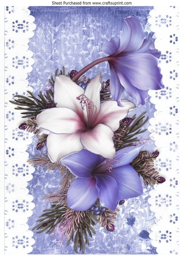 Pretty lilac and white Amaryllis on lace with bow A4