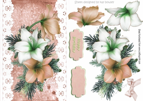 Pretty peach and white Amaryllis on lace with bow A5