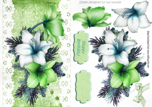Pretty green and white Amaryllis on lace with bow A5