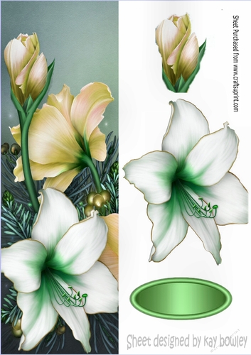 Pretty gold and white poinsettias tall DL
