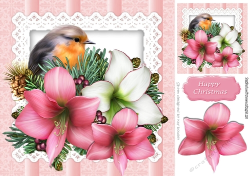 festive Amaryllis with lace and robin 8x8