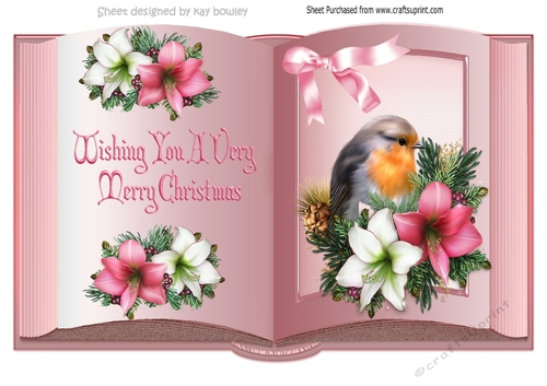 Pretty open A4 Book of festive Amaryllis and robin with bow