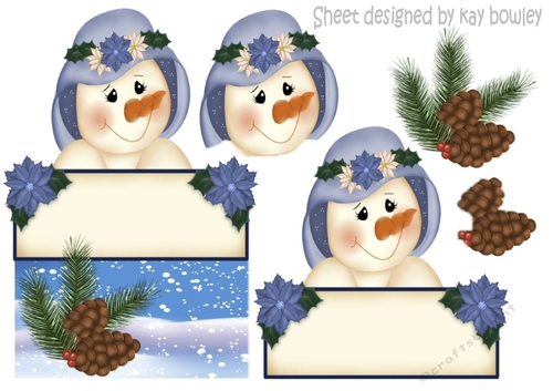 Pretty snowlady in a hat with cones over the edge