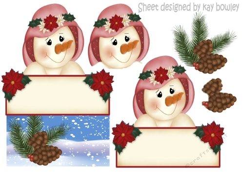 Pretty snowlady in a red hat with cones over the edge