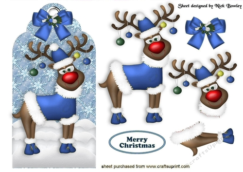 Rudy on a tag in blue with bow