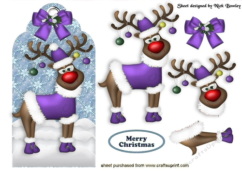 Rudy on a tag in purple with bow