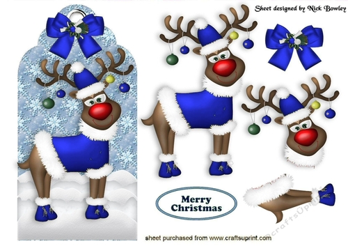 Rudy on a tag in bright blue with bow
