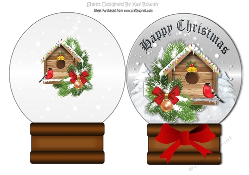 Lovely Robin in bird house in the snow, in a snow globe quick card