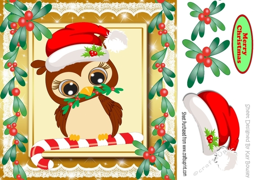 Lovely brown owl in santa hat with holly 8x8